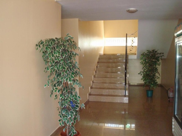 Hotel Terra image 15